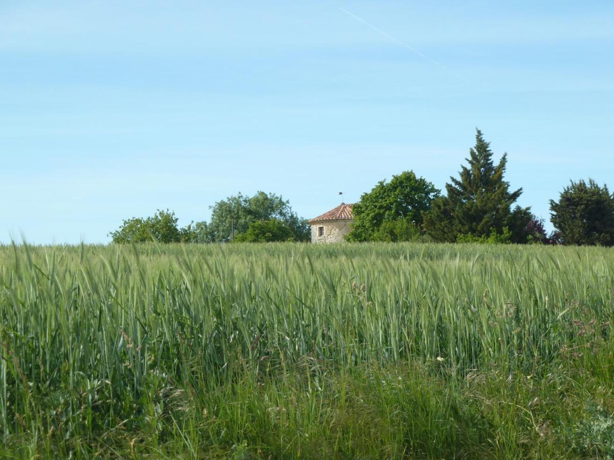 Bed and Breakfast Chateau De Puissentut Homps  Exterior foto